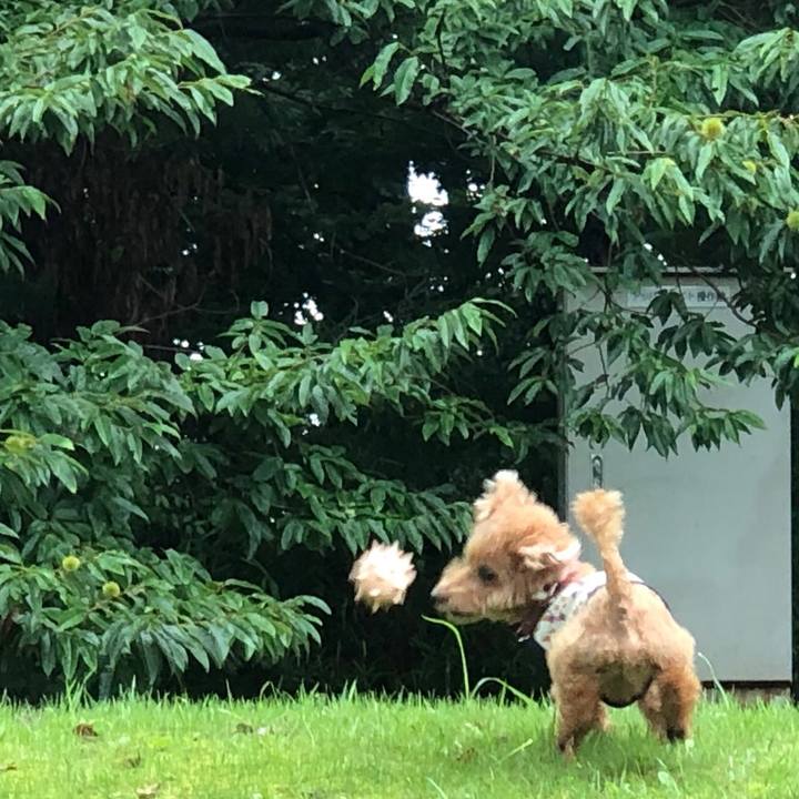 709c2e36 ff1d 4516 943d 47944a3fa3dd 1566552166538