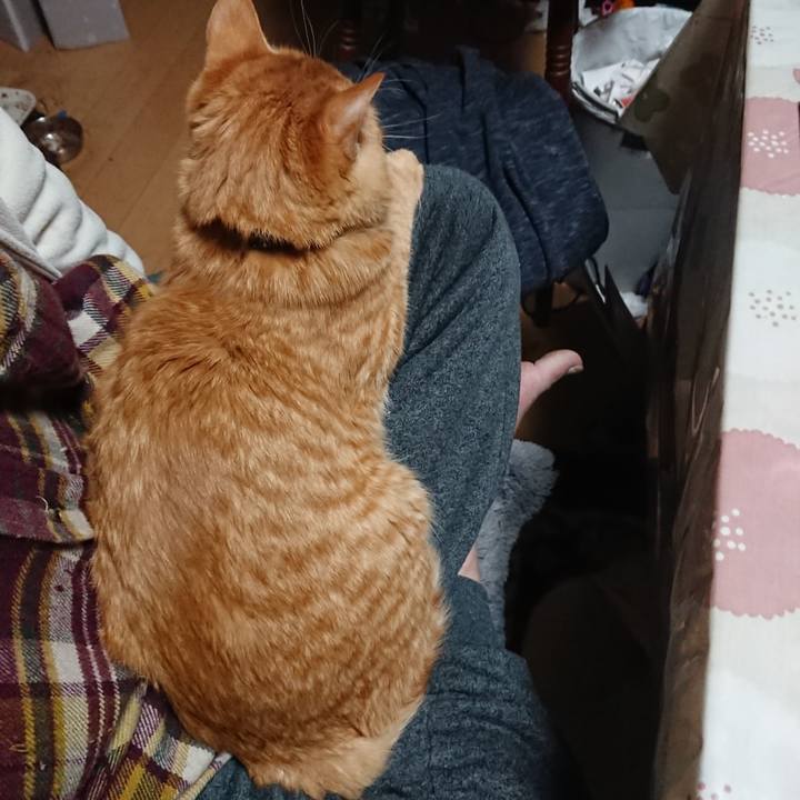 709c36cc 9505 4b1d b4a4 888ad743275f 1641848690997