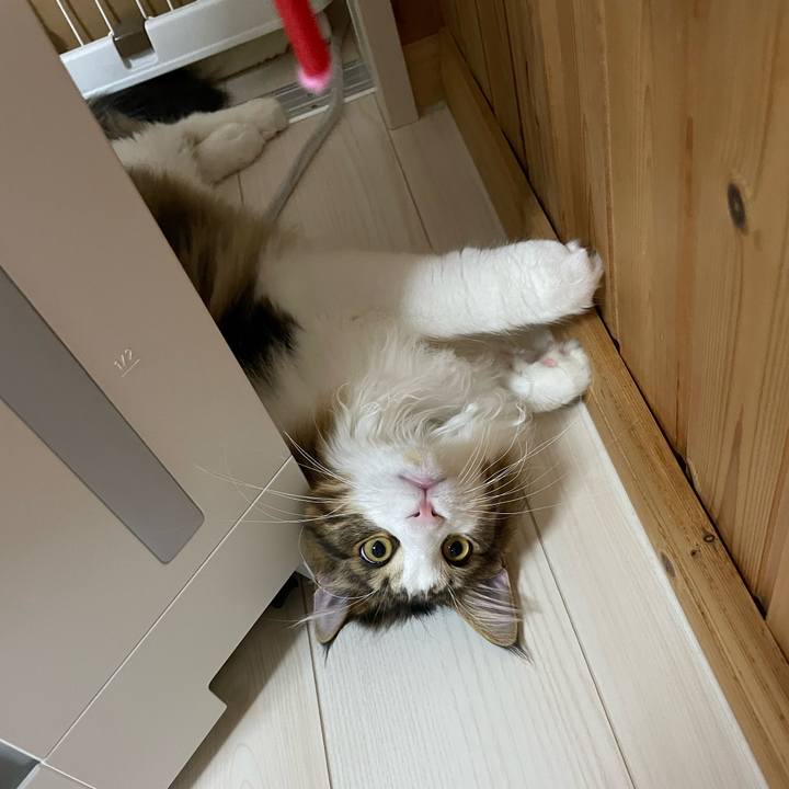 709c70d5 4d14 4974 8471 1024696fa8f6 1643539640139