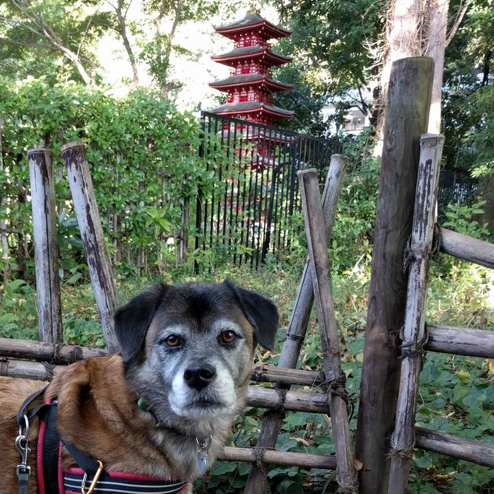 709ca5fc e659 47f3 9036 352aa2cf8411 1509927875873