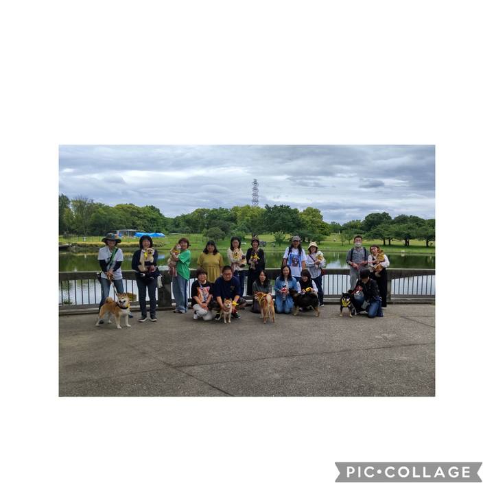 709cd69e 8045 4972 9968 688f17c63909 1715550655931