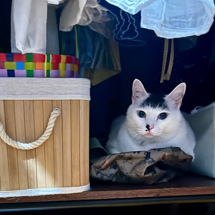 709d2361 f5c9 4584 b17d 6ff9658fb236 1776942581338