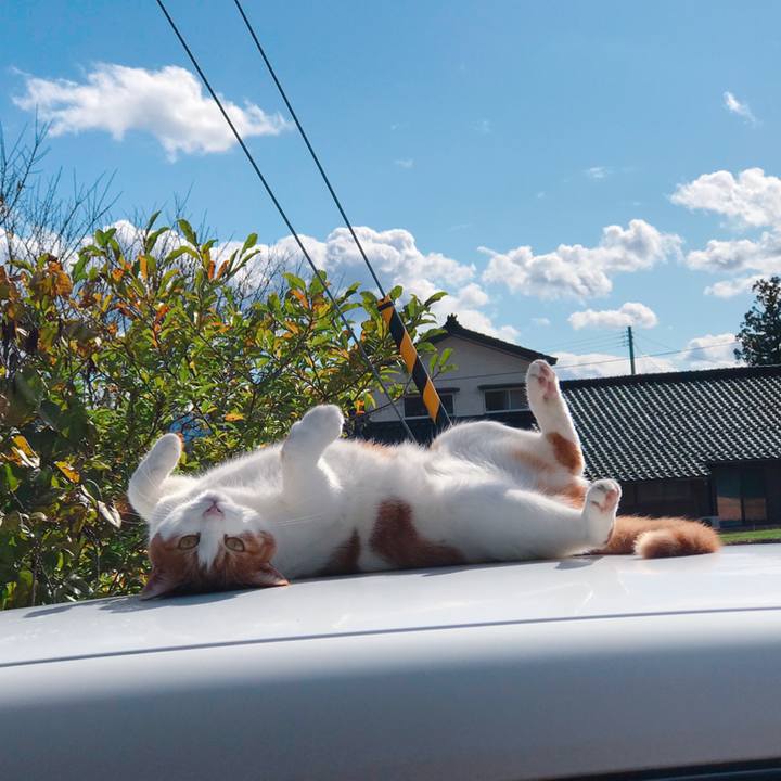 709d6fac 85da 4edc 8076 a0ad27d1ae2a 1572843248148