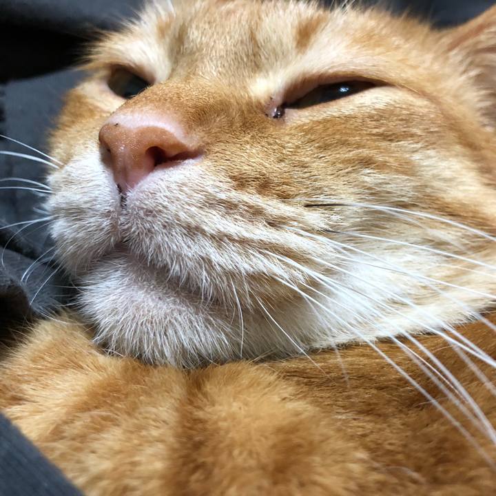 709d7b51 8f03 489a 894c 22985aafb300 1610790974320