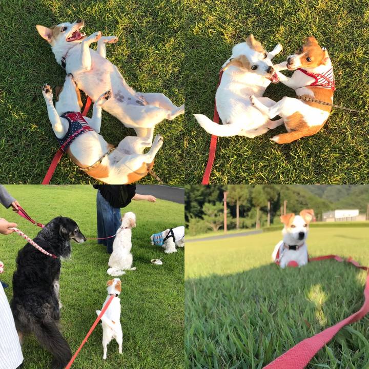 709db595 e445 4c55 9e22 56028e6c61af 1561464026653