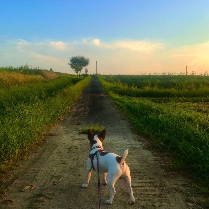 709dc3c9 5dbe 4a7b 8c32 53493e1948c5 1535538190117