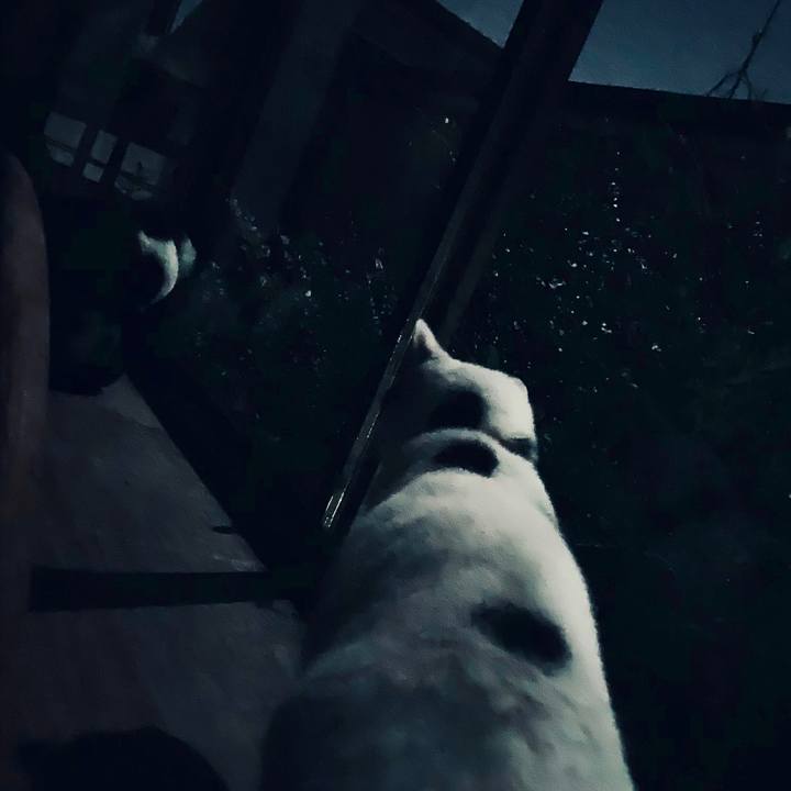 709dde7a 7811 41fb b7a9 c7d3aa6bfe49 1540589648139