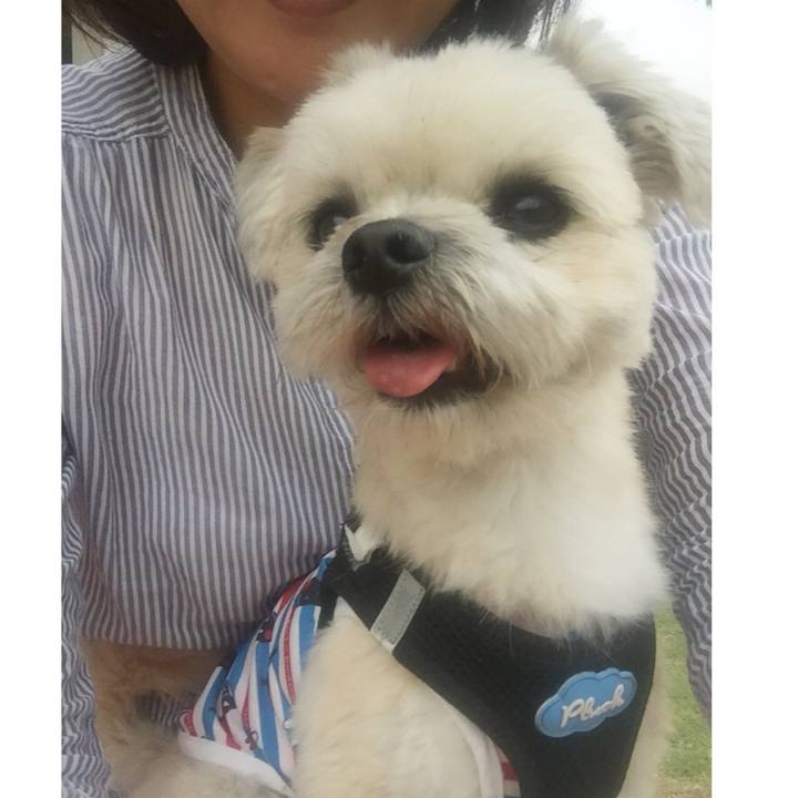 709dfdf6 35a6 43e4 b725 7b615bf4c9b4 1527680147514