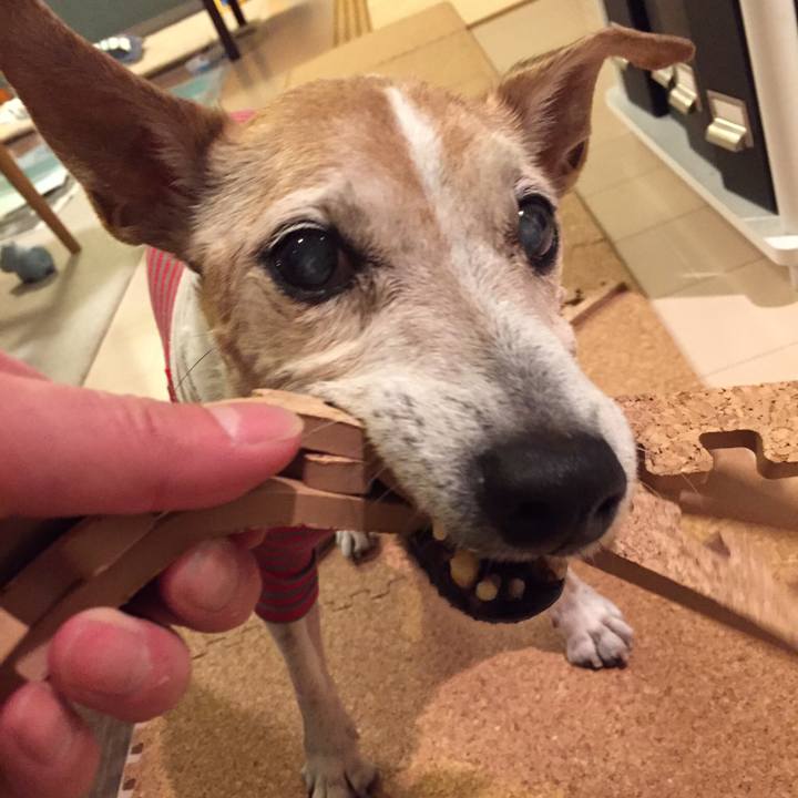 709e2526 f1b7 4fcf 8ab6 116755c211d6 1522832005268