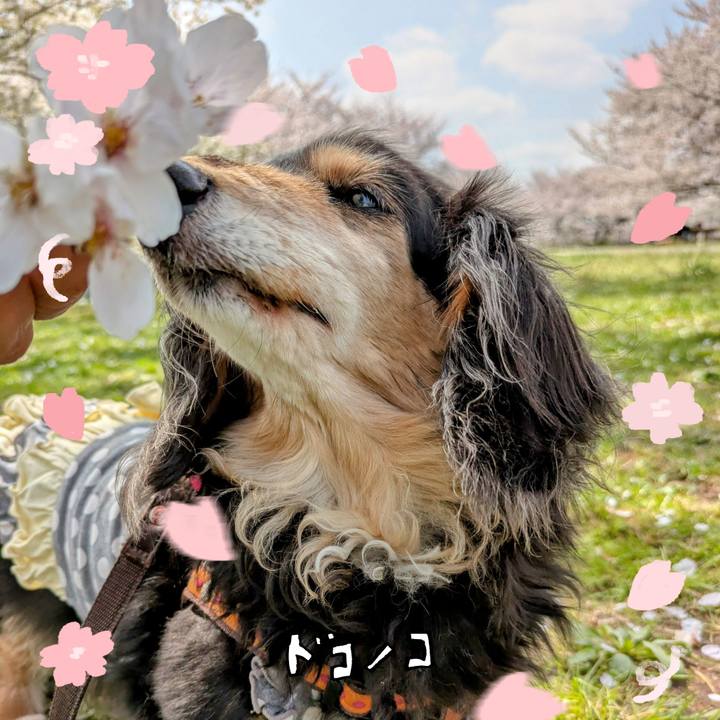 709e3367 9392 4988 a8e3 aa0bc4f79b92 1744338585445