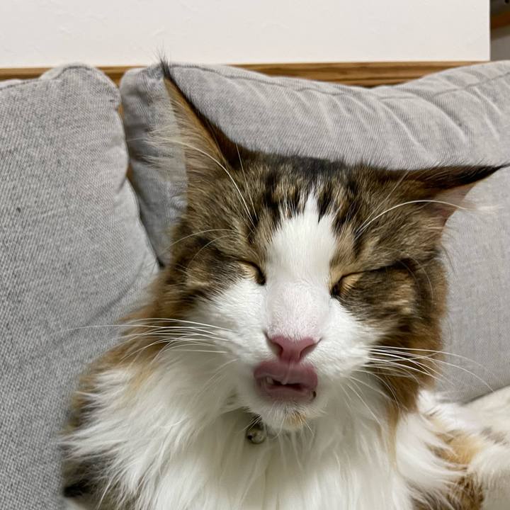 709e357f e1b1 4307 8682 5c6c0961a7a5 1669757854805