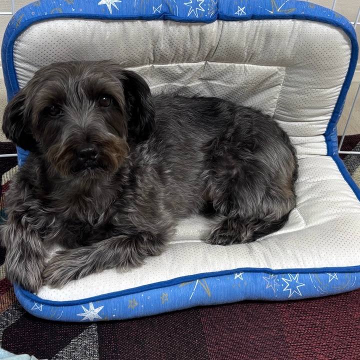 709e4e3e 3262 4e10 a204 899175f5dcf9 1760261100819