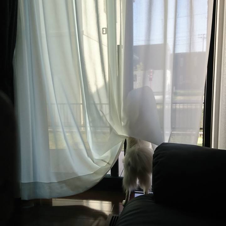 709f0713 f507 4e6e ac87 a1a6648069b7 1523604858913