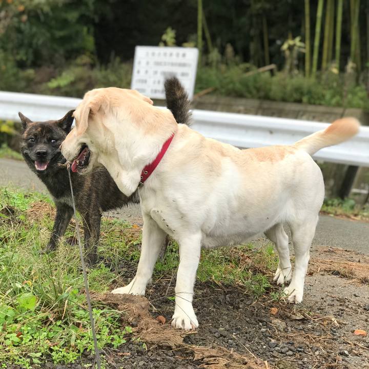 709f102a d0bd 4e70 934e 1bc5054ac558 1541030034270