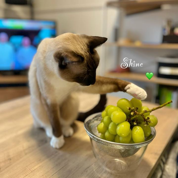 709f1fef c4d0 4389 a6ad c4c0c012bedc 1731111715250