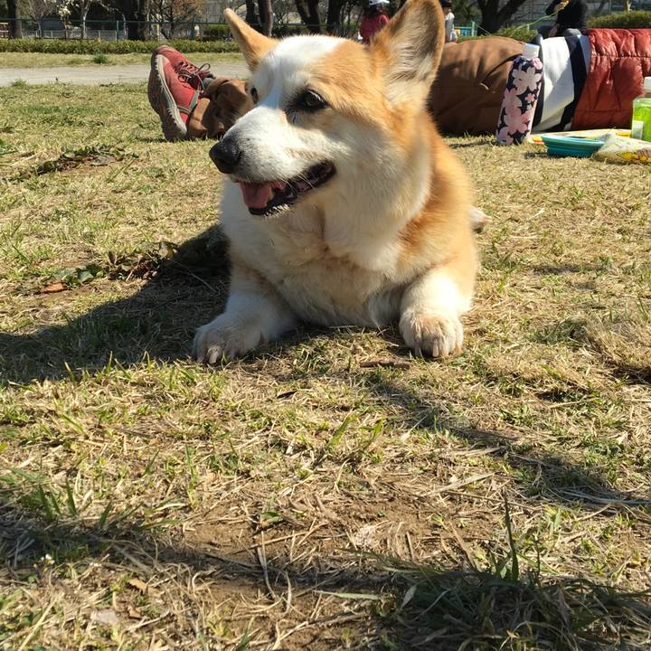 709f204a 5e58 411f adf1 e96bc31505eb 1553408042271