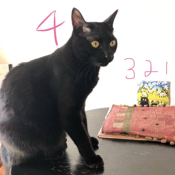 709f4241 0709 4f76 b4ac 145cf1f7bf6d 1549760573261