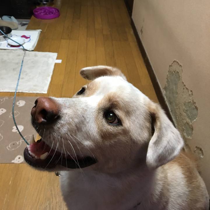 709f447d 0743 4f6f bba2 a1f2e13d6d9d 1514102191313