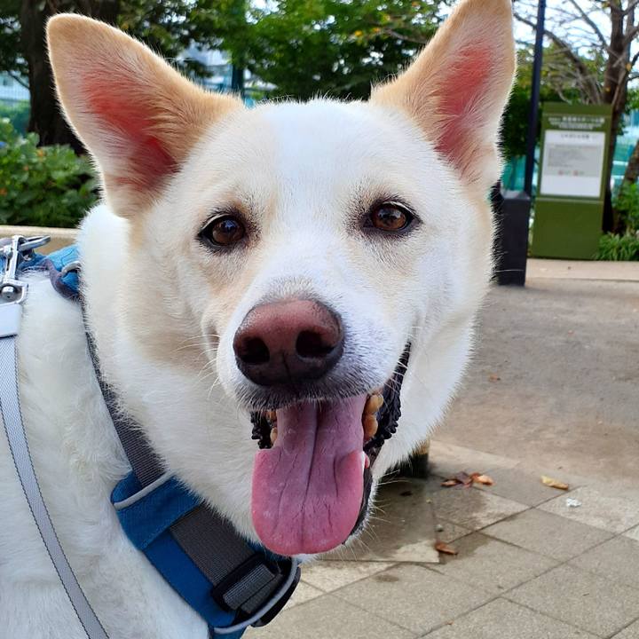 709f4612 37bd 4f2c 84de 873bc17f1174 1633752738876