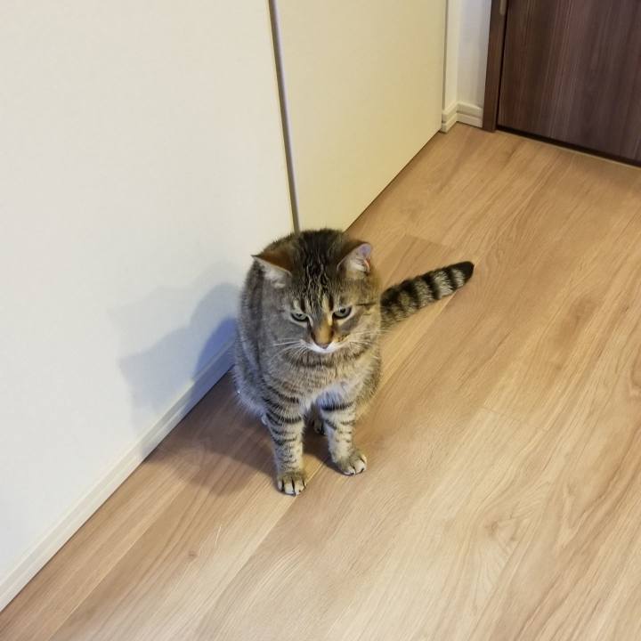 709f4fae 6c2e 402a 9581 83e68f8a0dfb 1559598095563