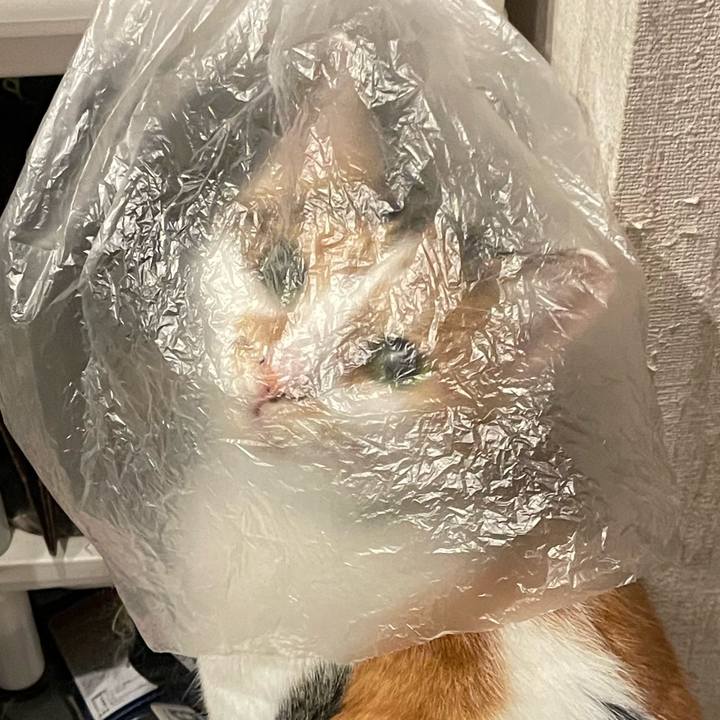 709fbece 56af 447a b26e 8451f2381ddd 1728475271528