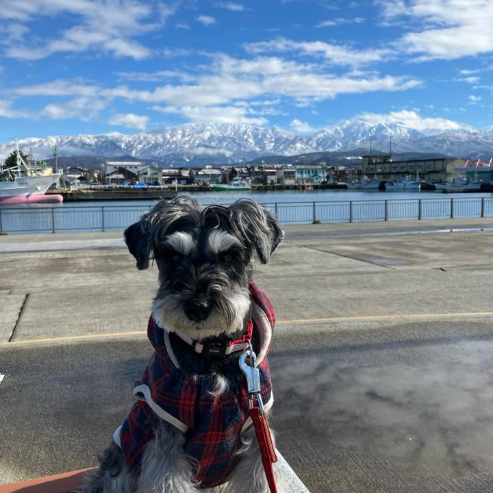 709fc2fa 96ec 4138 872c d1a700e4b31c 1737280373365