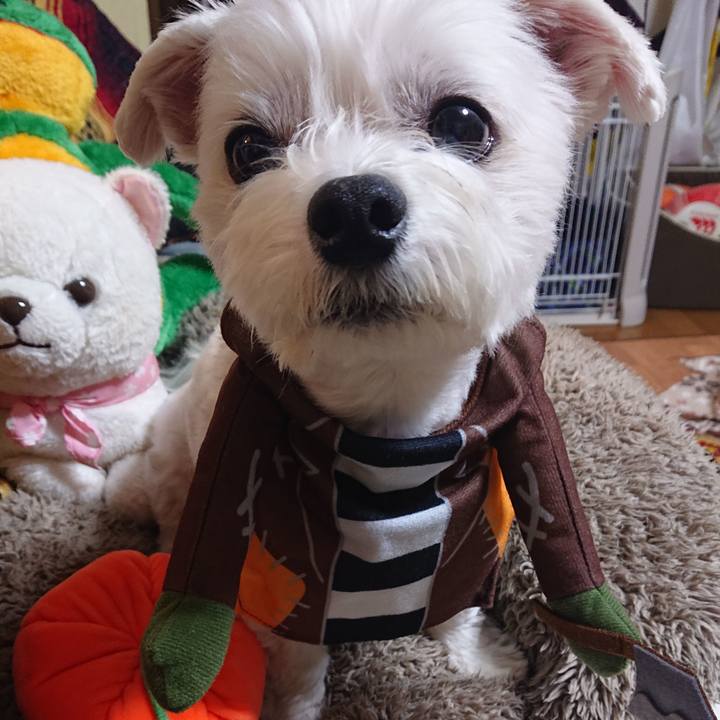 709ff840 1f88 46ed 8aec f63f47e925f1 1572513574785