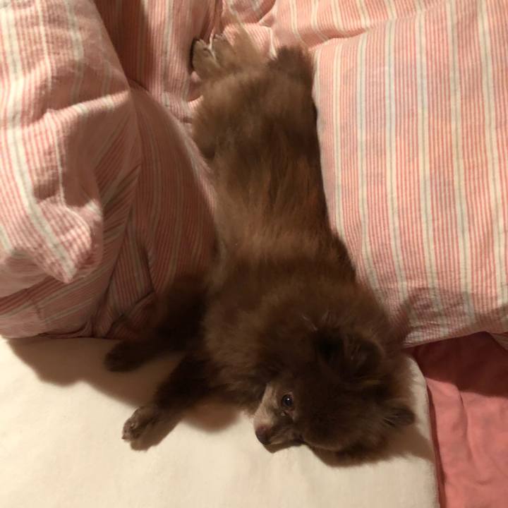 709ffa1c d9bb 4baf aa76 f84e0b49d8c1 1536490070994