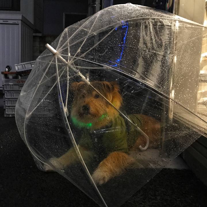 70a03002 a5a2 4803 9398 8c9fe3892711 1652372004188