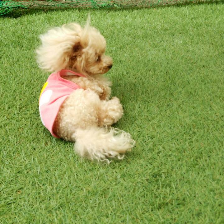 70a0844d da1f 47ba 8a0f 2cccfc1e0d3d 1528285984956