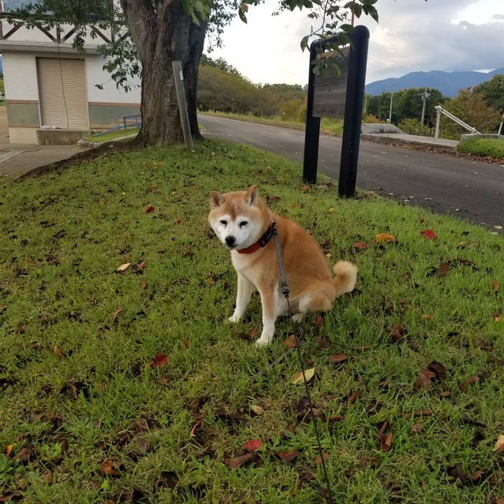 70a093a7 f0d7 49b9 b553 987fb24cd618 1728199185114