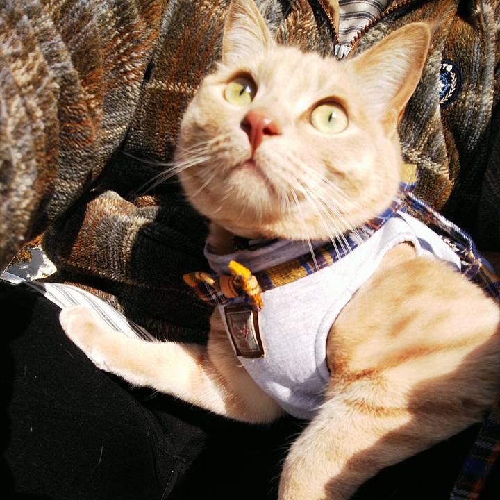 70a0ac6e 3a30 4f46 a219 f178294df600 1582502593718