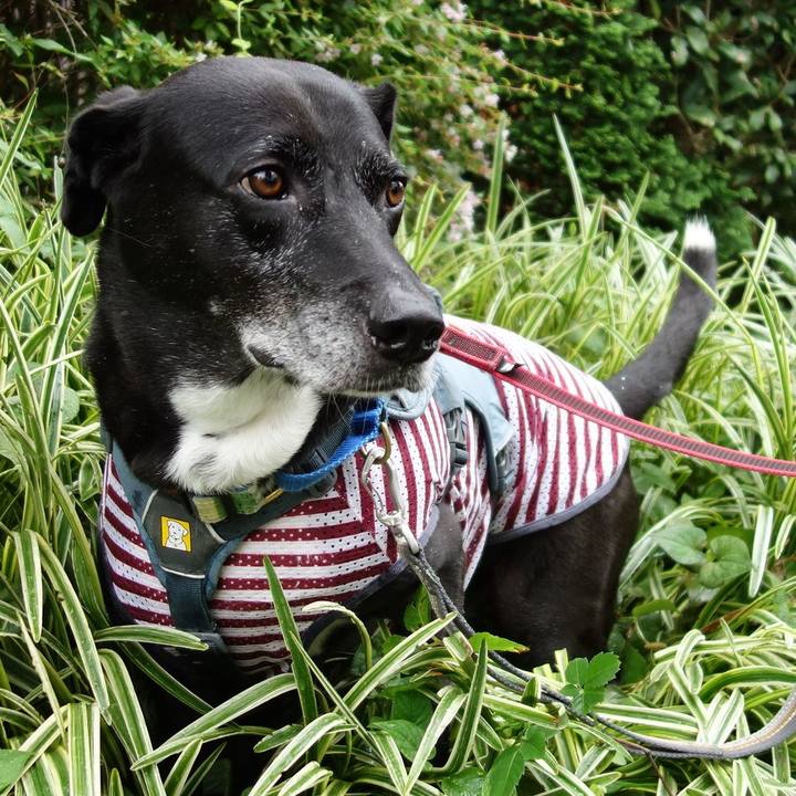 70a0c2e4 1cb5 4881 9f3c 4bb652a65463 1722987405629