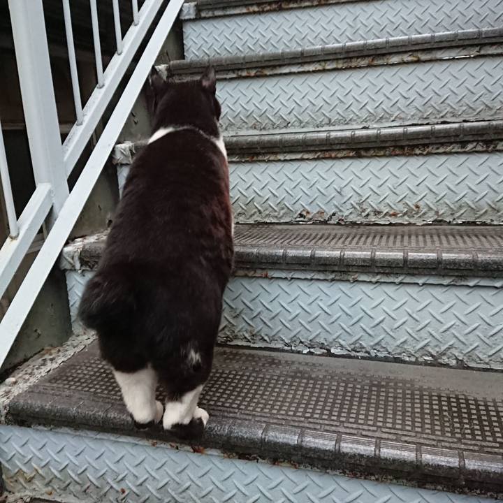 70a0ccc9 837b 4c6f 8591 728956929a54 1636278922768