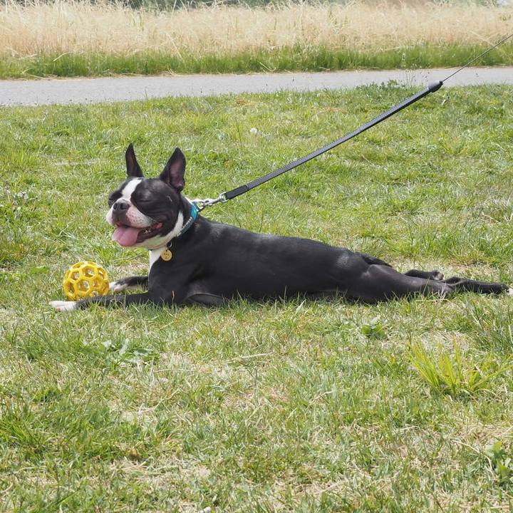 70a0e14f 3102 4415 92bd a1a54ec11fd0 1555941224009