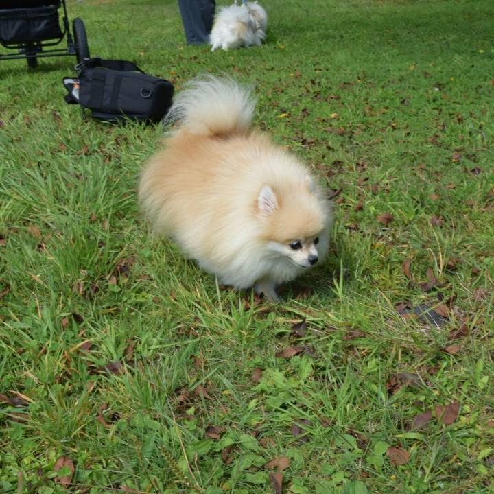 70a0e641 d000 4f64 8e5a b8b788ec67a0 1507737111751