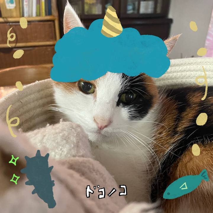 70a0f34f c568 4c60 aa04 f1cce7afcea9 1706777021811