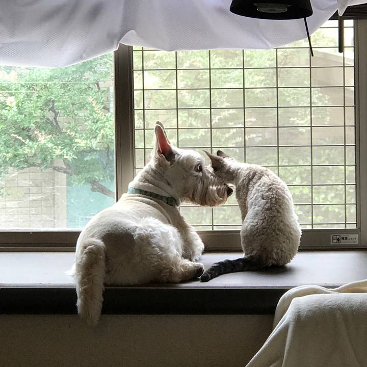 70a0f382 fb23 4f55 8111 1bc12d0a18e8 1591930459050