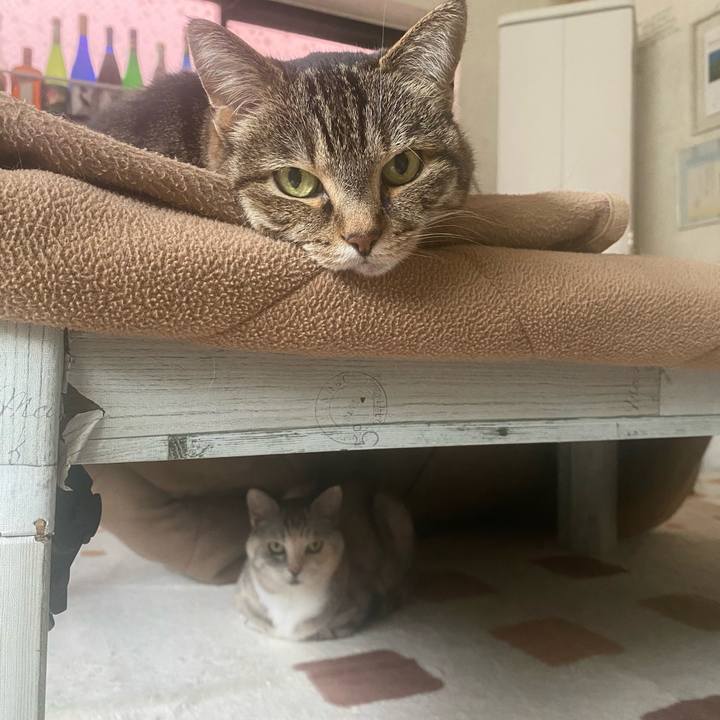 70a0f74b 83db 471b aa11 8f27d4a94a89 1744264557085