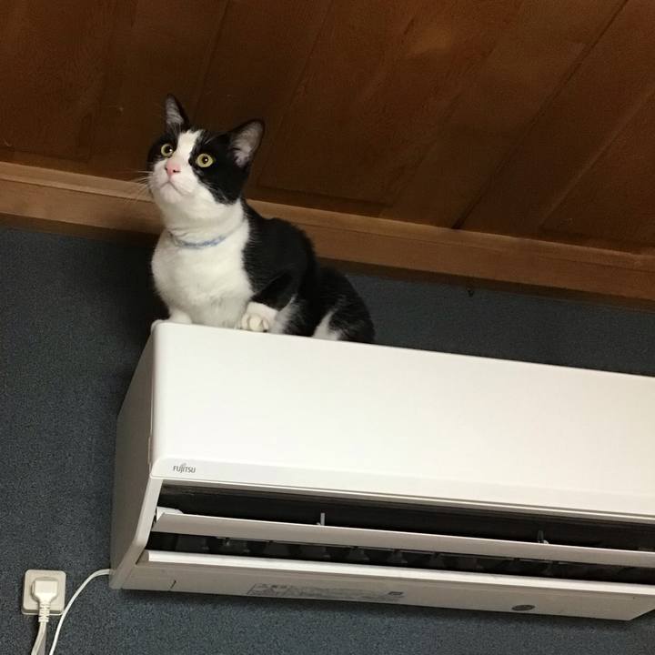 70a10da0 c1cc 4051 ae3b 1b0da1f9b602 1688216736216