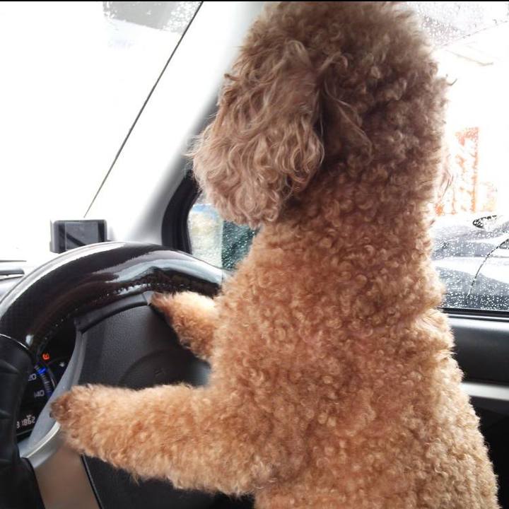 70a12320 0c12 48a9 ab76 0736bbcaff10 1534029791997