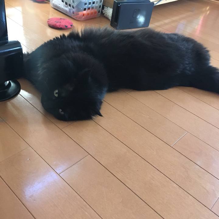 70a184a2 7d49 434a a9ab 0e61c2ba7233 1556953620442