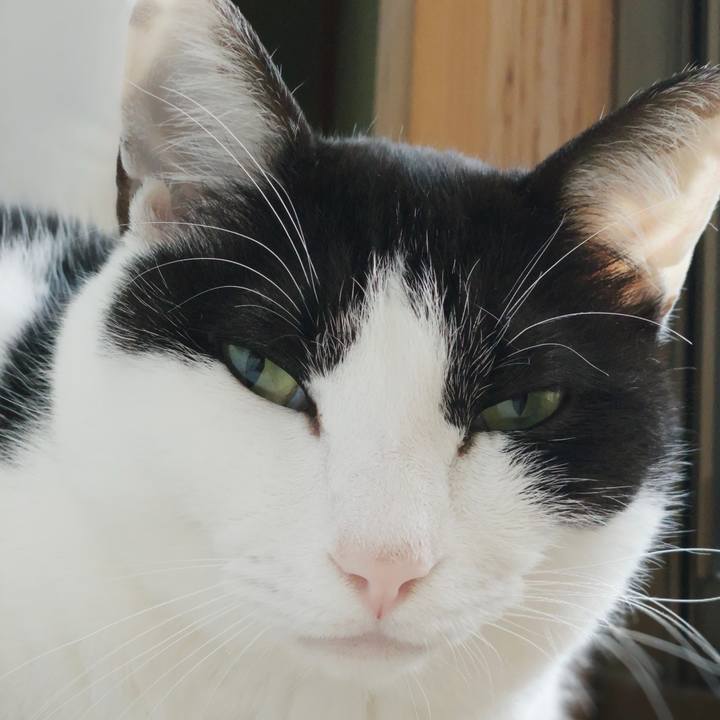 70a1995a c2e7 4138 be81 8a3446097b01 1551752440874