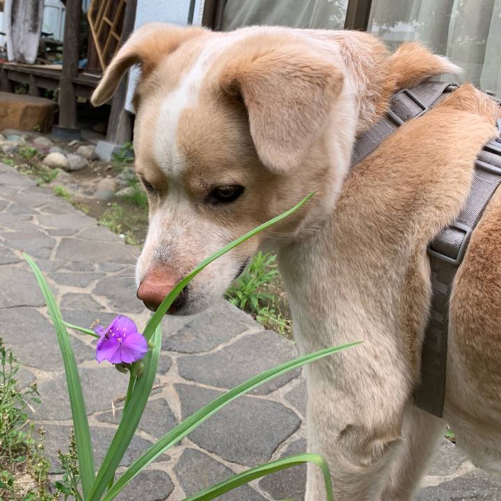 70a1c516 ce7e 4492 a8aa 282a888a3a6e 1559269014127