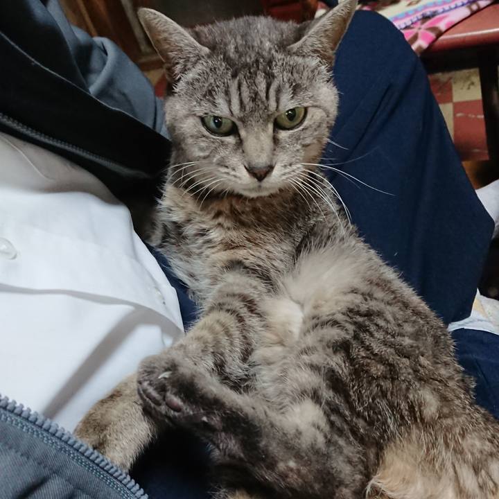 70a1cbed 7fa5 4426 8ee2 2f6c8f7f2791 1572472584896