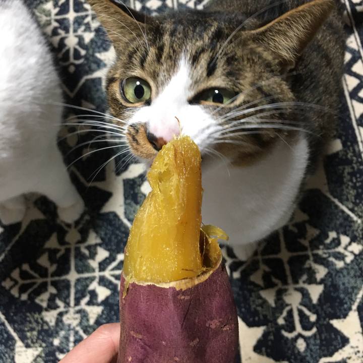 70a1df75 887f 448a 9276 c4227ff3a911 1582547278643