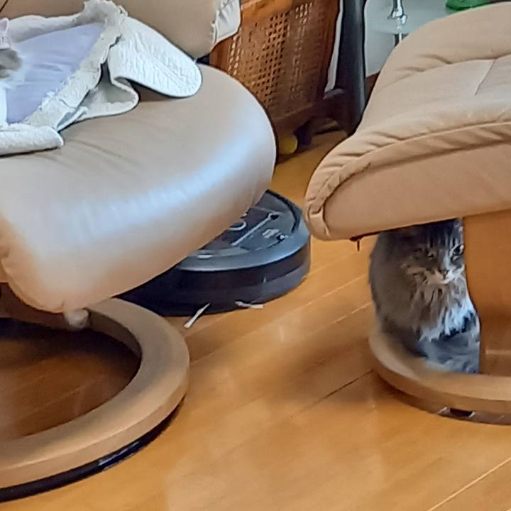 70a209d9 ff2f 41a2 ad08 a0cc19737acd 1635454336577