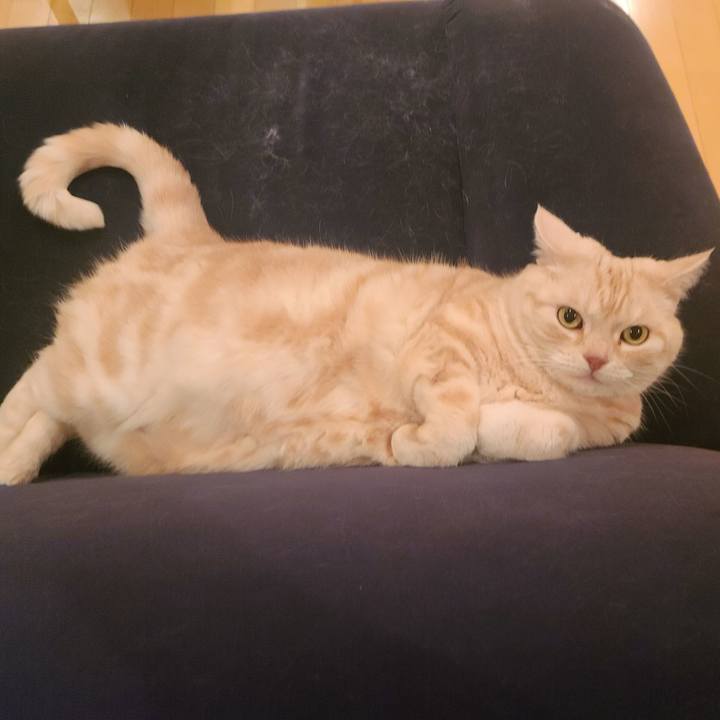 70a220c9 a464 4024 85e1 6f3f8bbaaf44 1675844786183