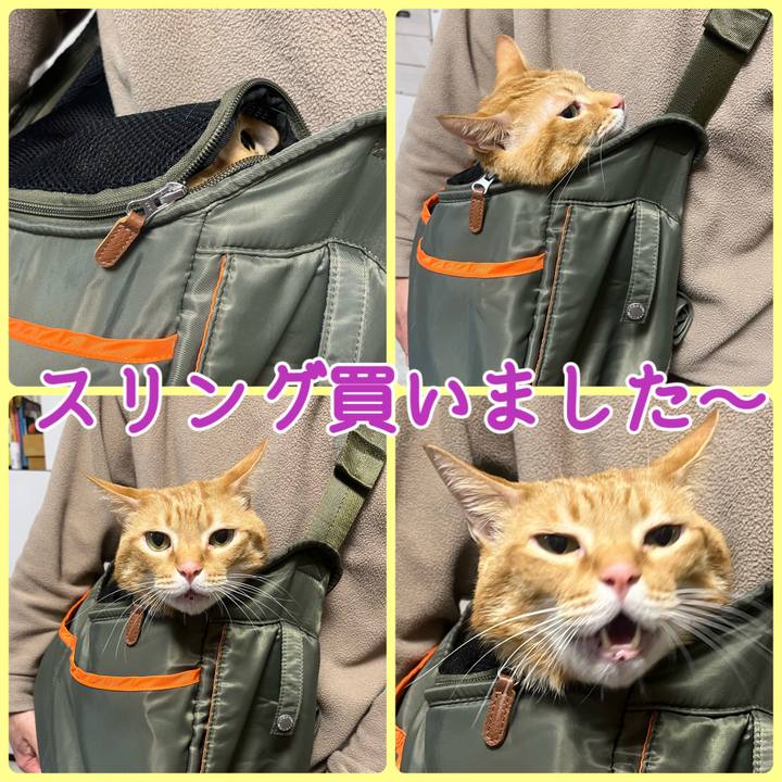 70a22dca 0262 4ccf b0a0 9e237ff3369a 1673347819137