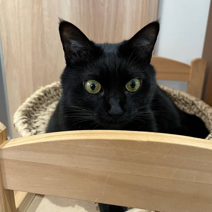 70a25ddf 16ef 45ca 874a 63c9f72f5d1e 1651709971252